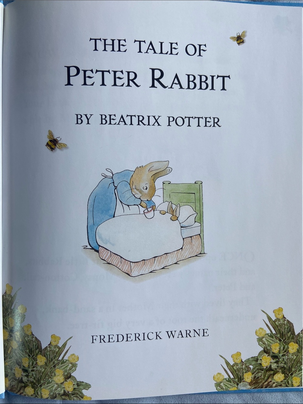 Peter Rabbit Beatrix Potter Box Set Of Hard Cover Children’s Books~Volumes 1-22 - Picture 11 of 16